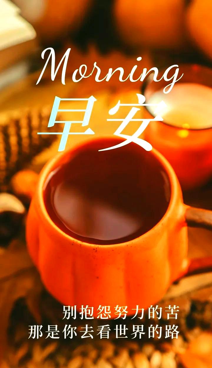 关于球队稳扎稳打,迈向成功之路,引发热议的信息 关于球队稳扎稳打,迈向成功之路,引发热议的信息