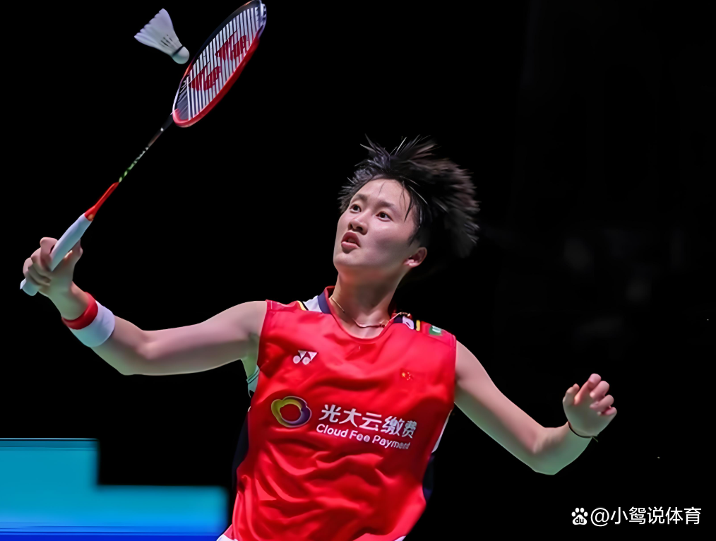 丹麦队绝杀印尼队，陈雨菲惊艳四座的简单介绍