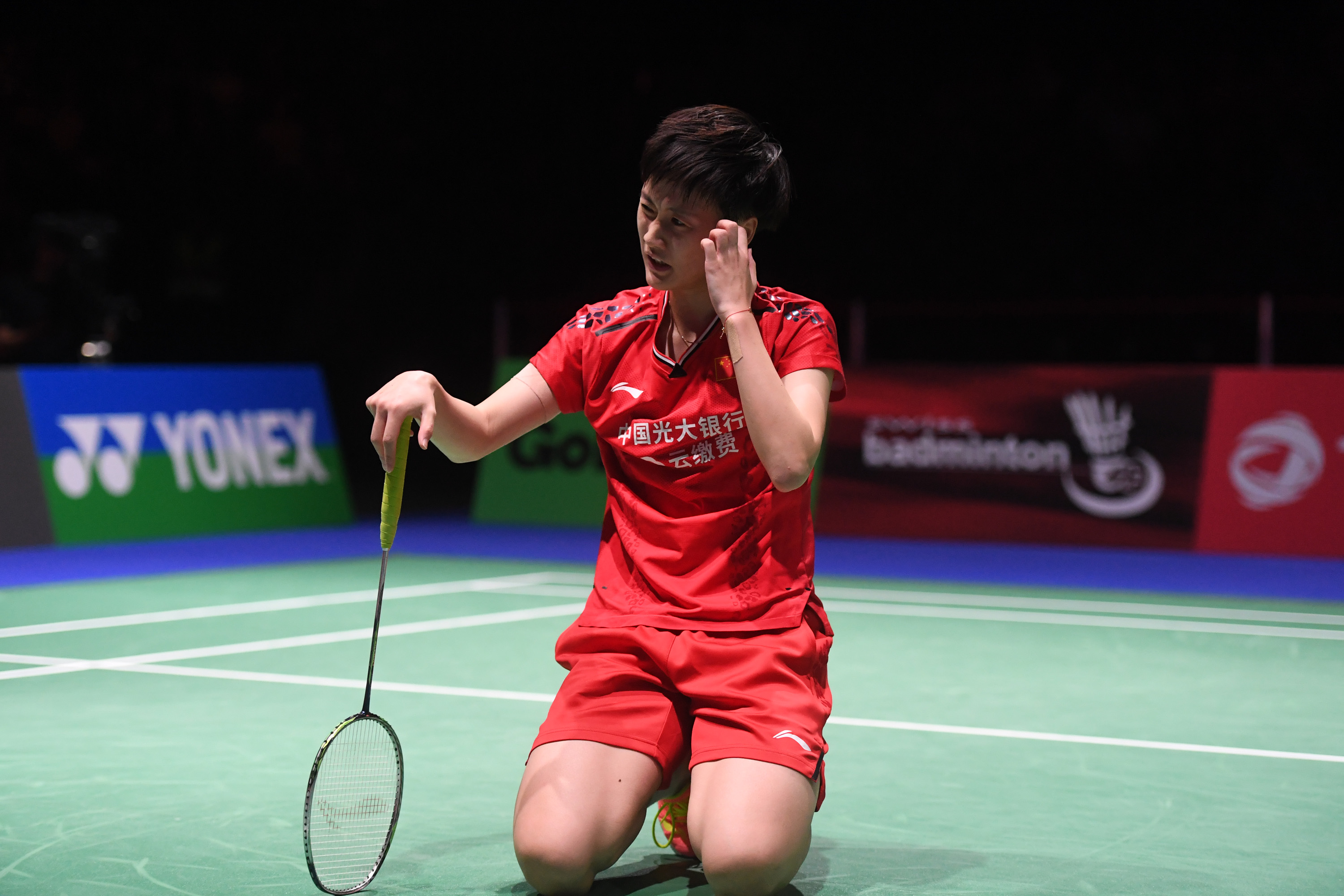 开云下载-丹麦队逆转法国队，陈雨菲状态火热的简单介绍